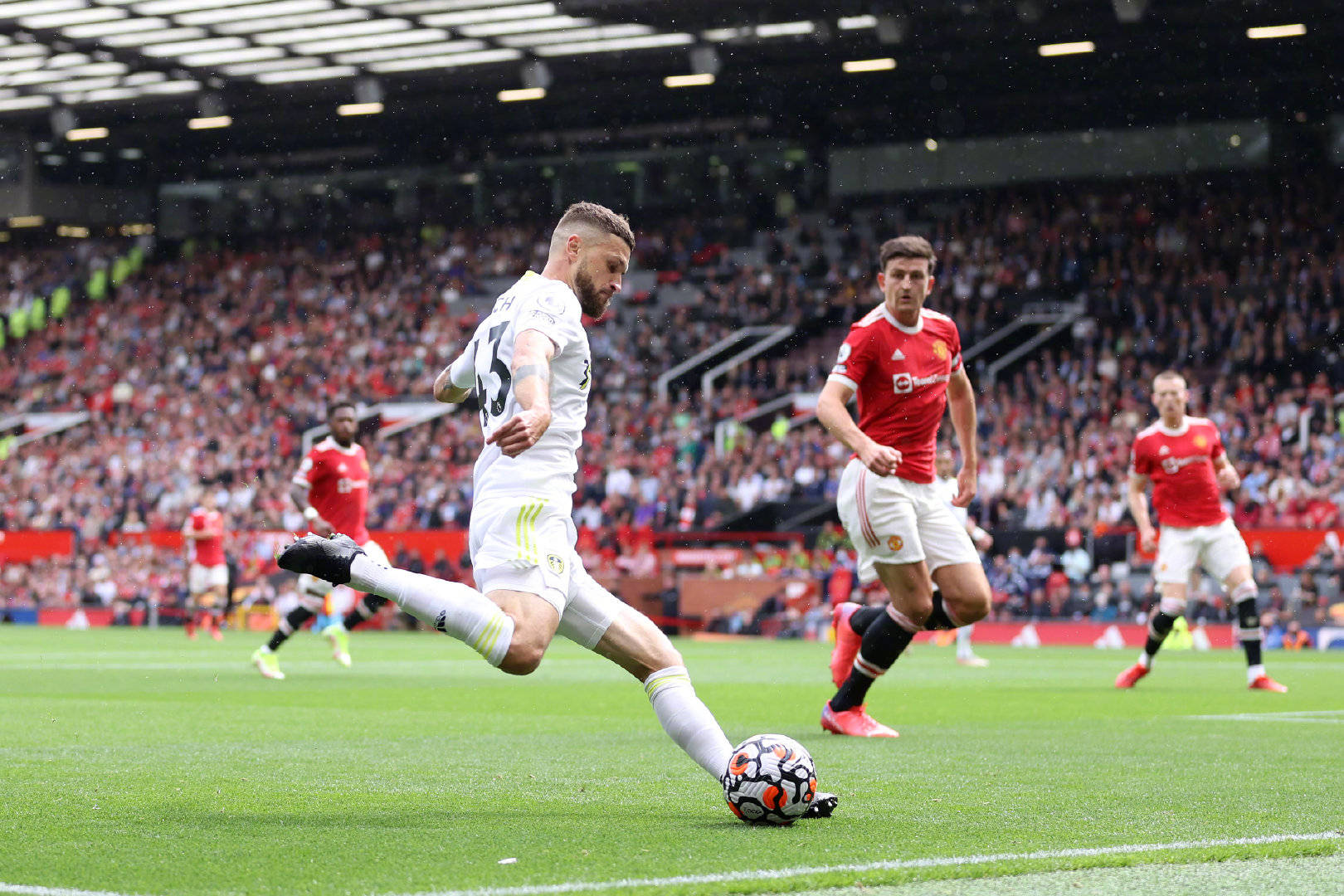 进而感染到 进而感染到